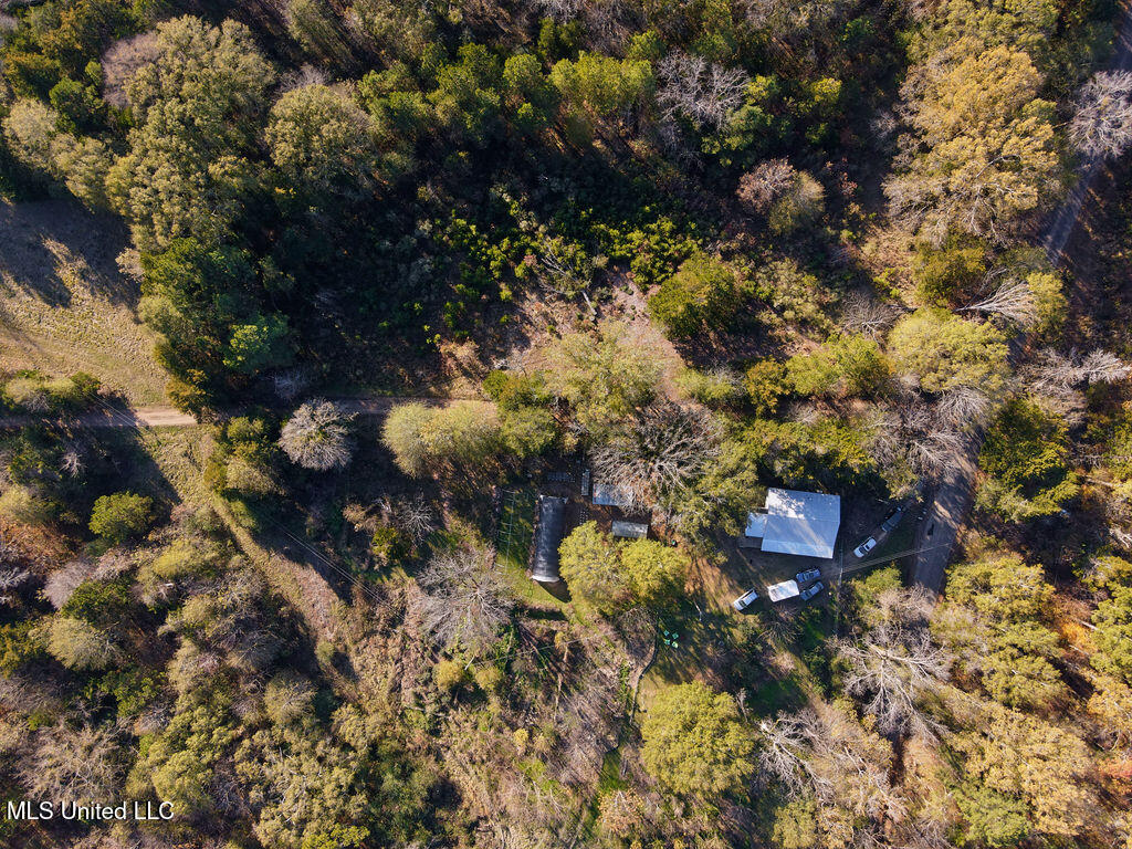 1541 Frank Hall Road
