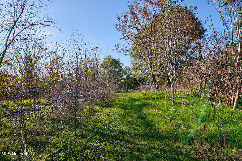 1541 Frank Hall Road