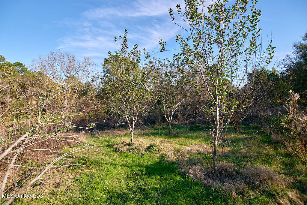 1541 Frank Hall Road