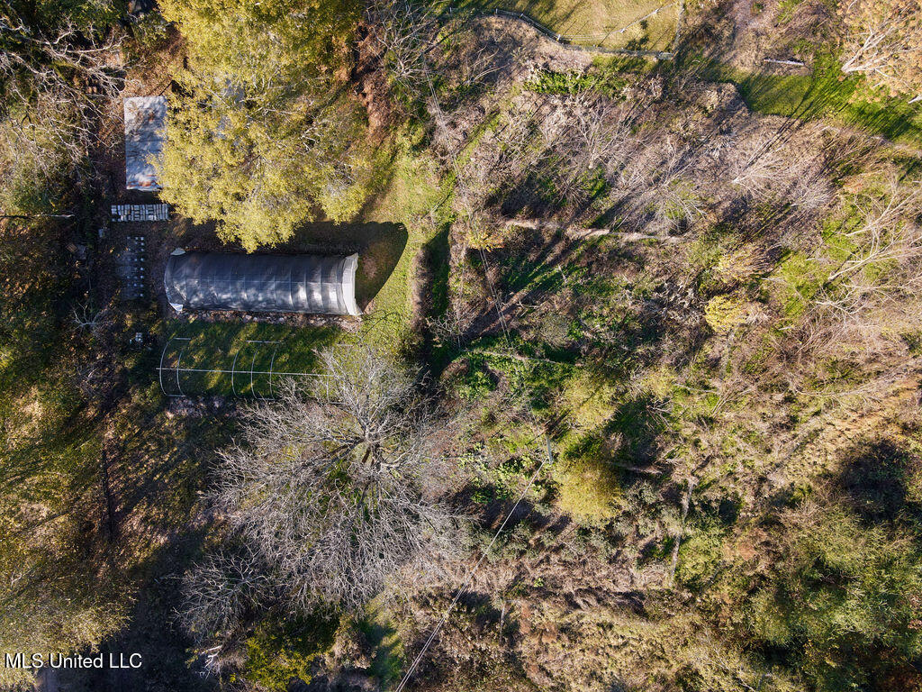 1541 Frank Hall Road