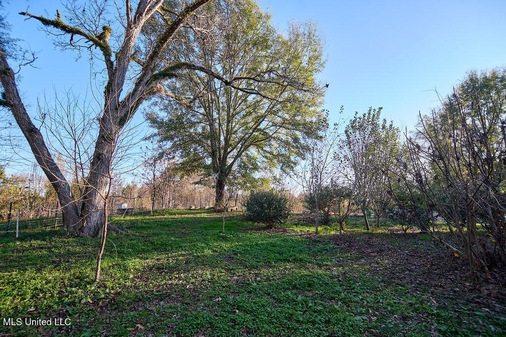 1541 Frank Hall Road