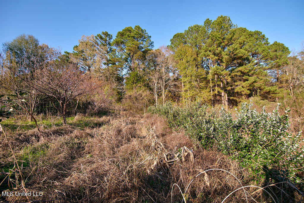 1541 Frank Hall Road