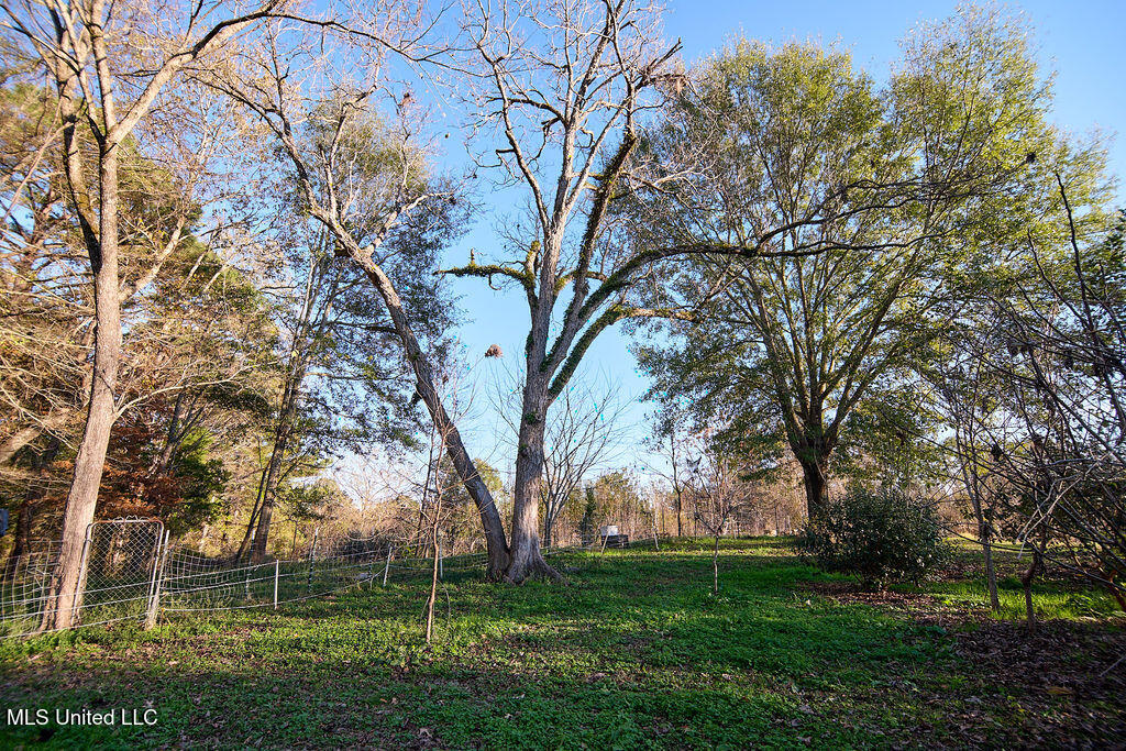 1541 Frank Hall Road