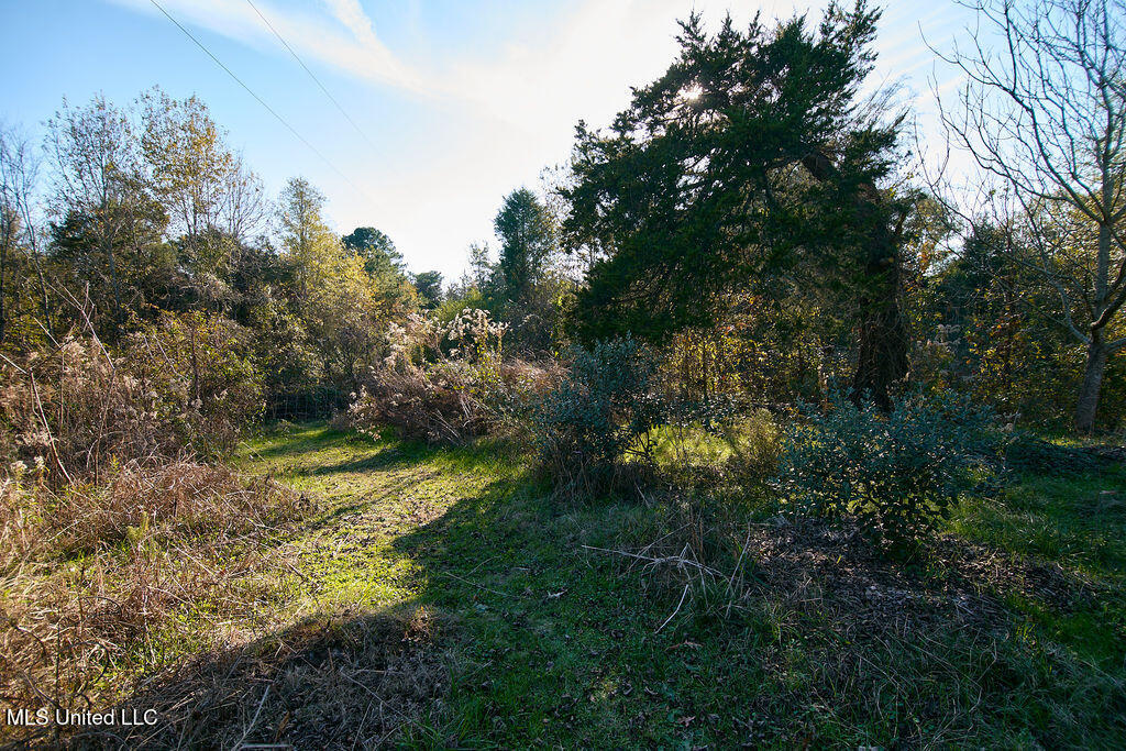 1541 Frank Hall Road