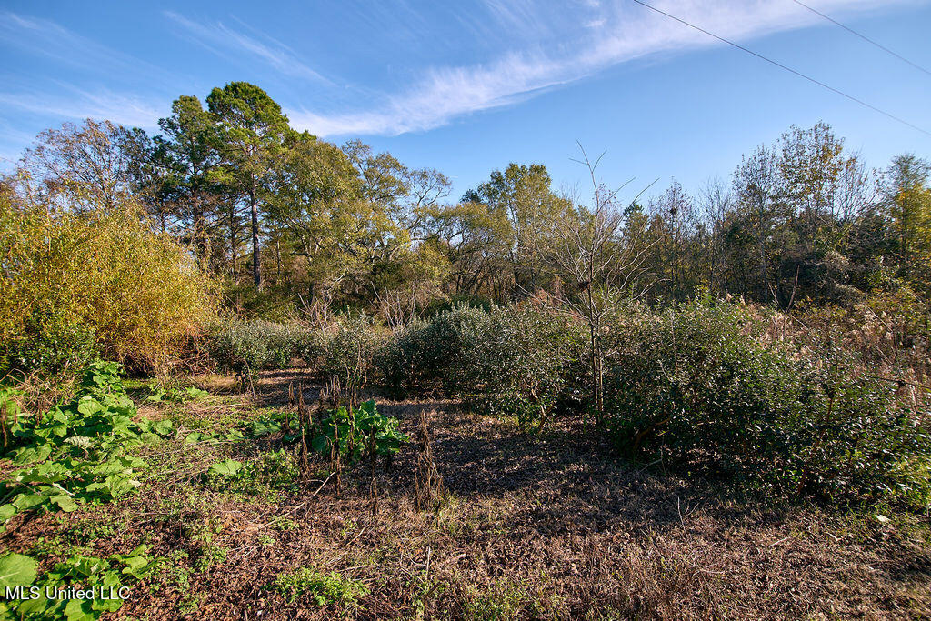 1541 Frank Hall Road