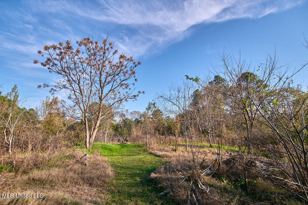 1541 Frank Hall Road