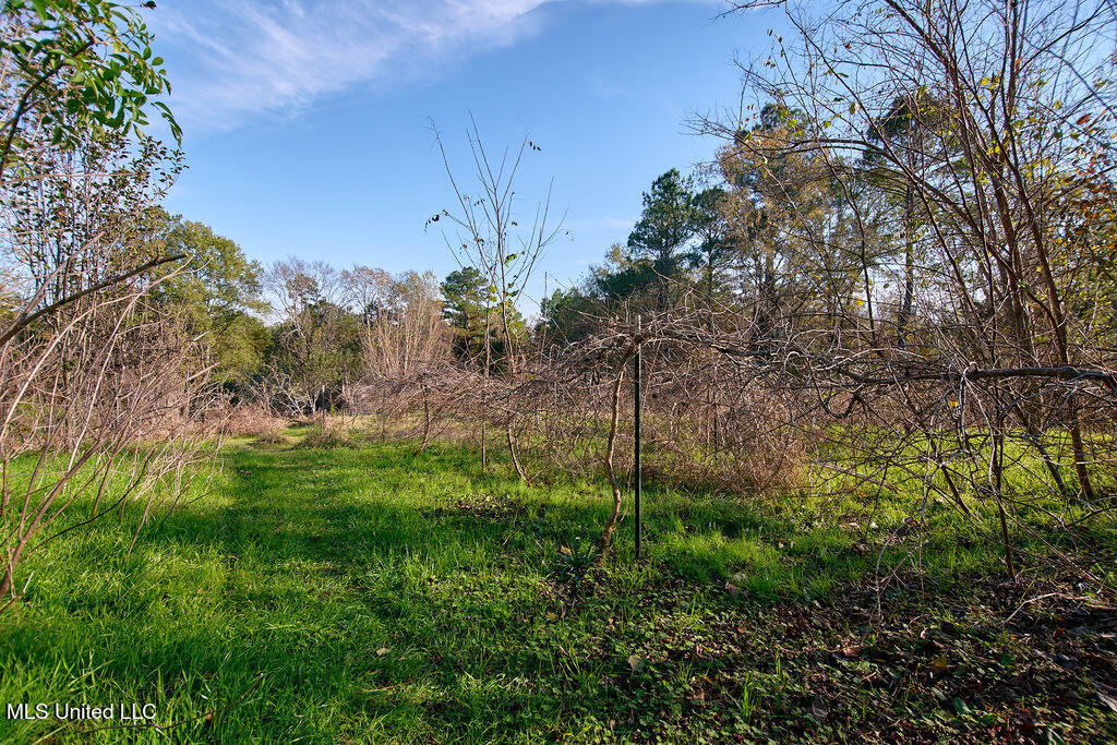 1541 Frank Hall Road