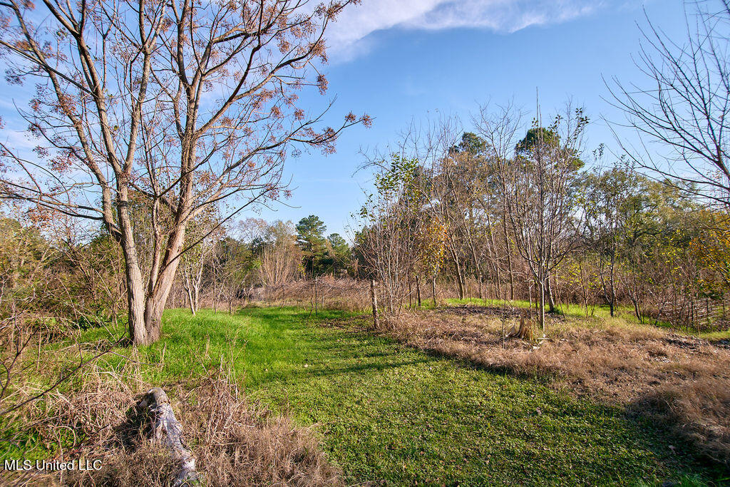 1541 Frank Hall Road