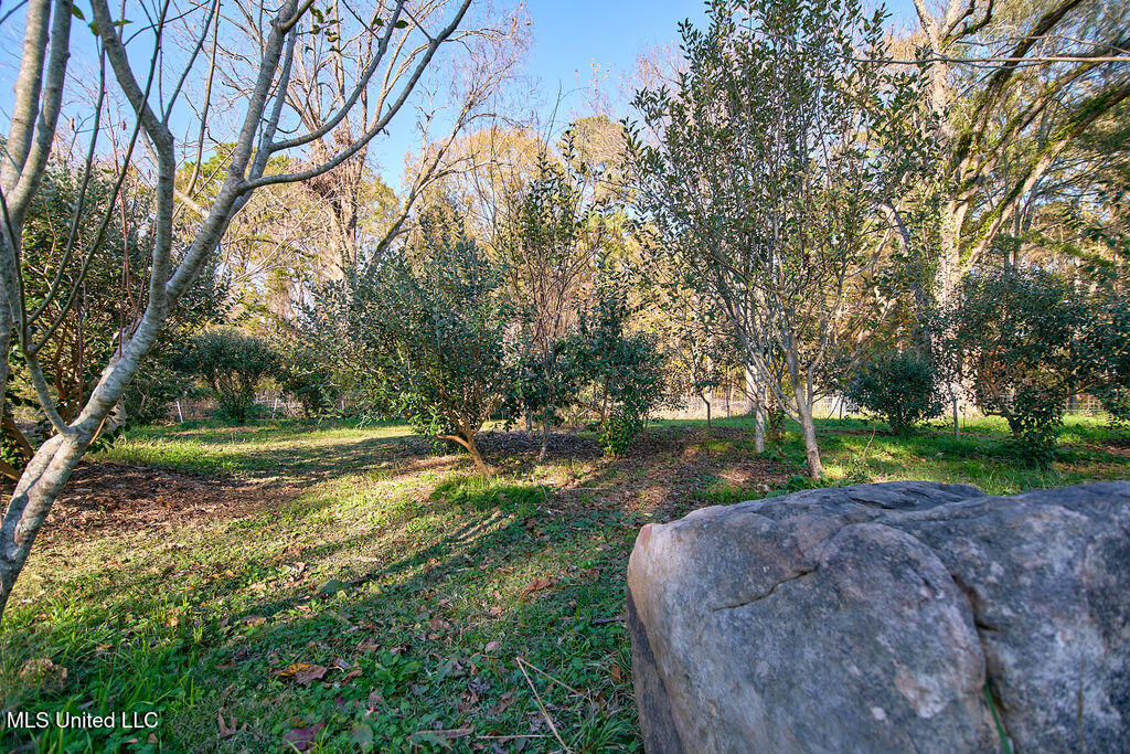 1541 Frank Hall Road