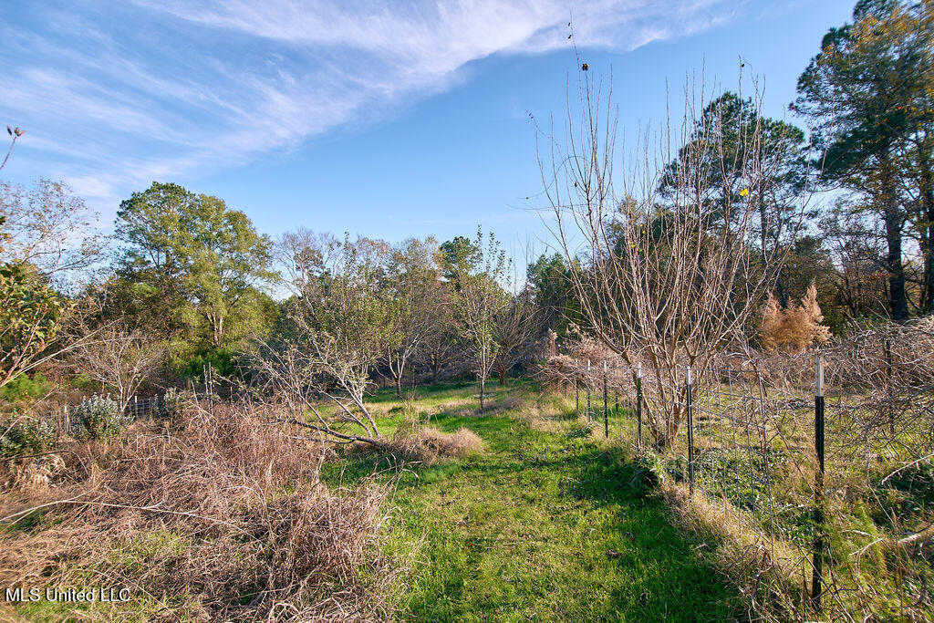 1541 Frank Hall Road