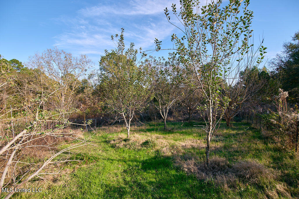 1541 Frank Hall Road