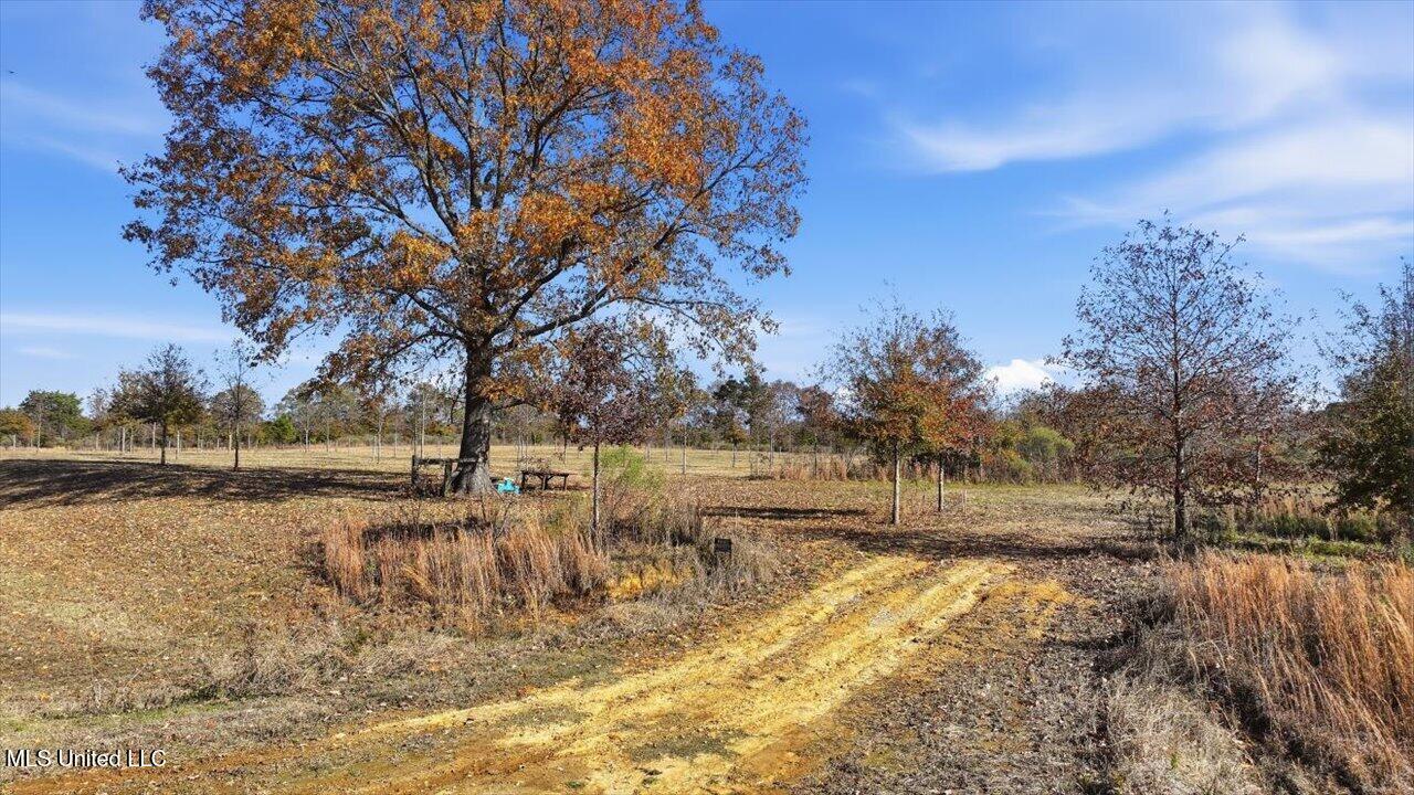 00008 Windermere Boulevard