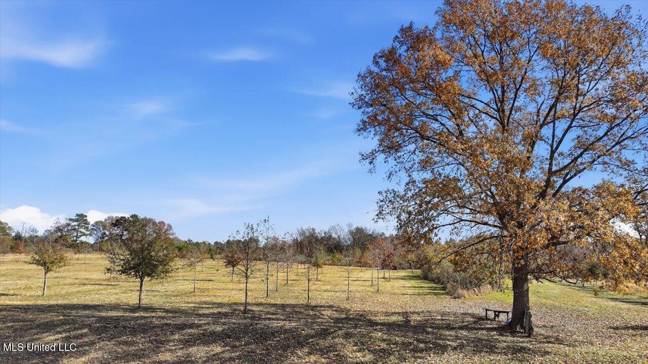 00008 Windermere Boulevard