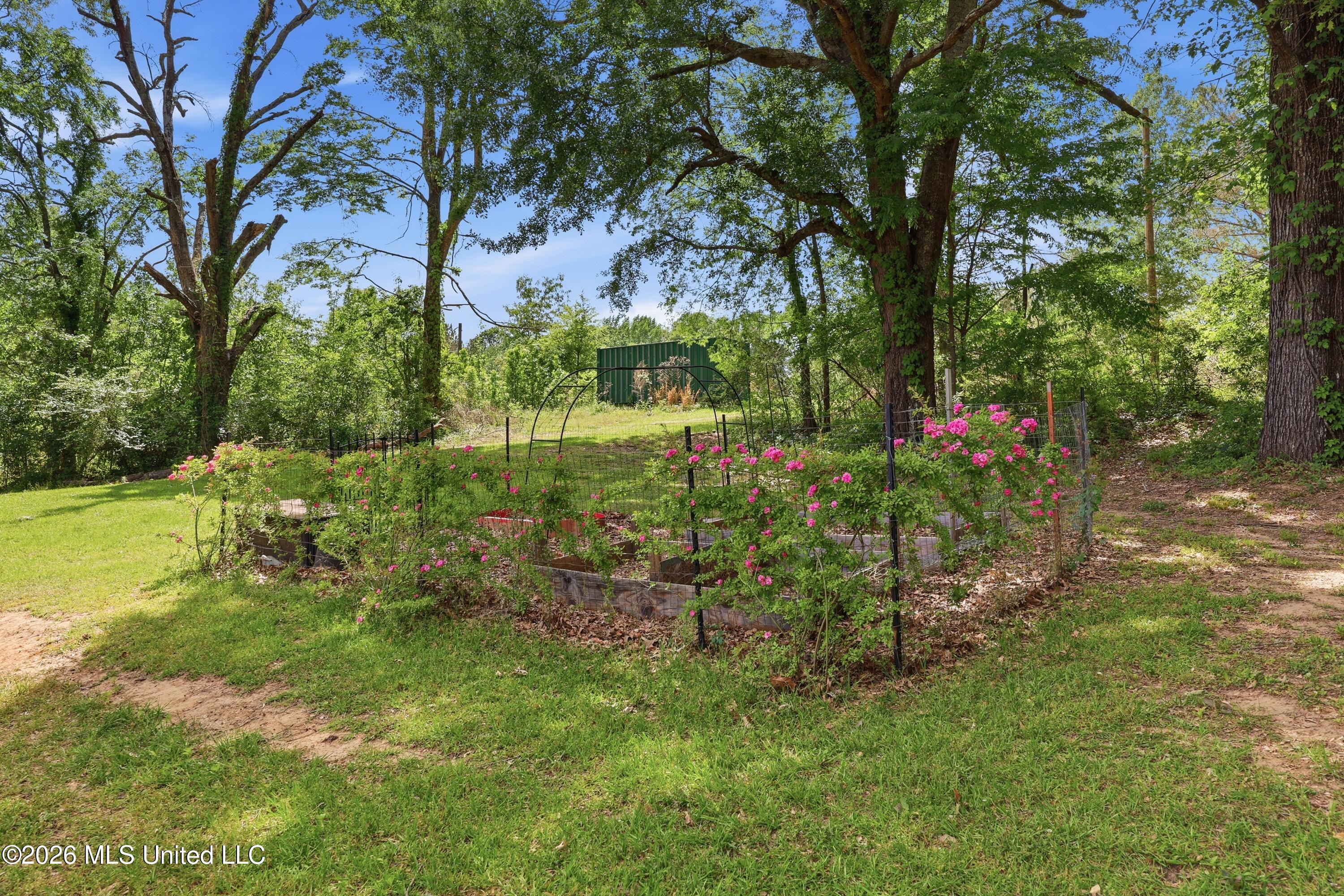 573 Clinton Tinnin Road
