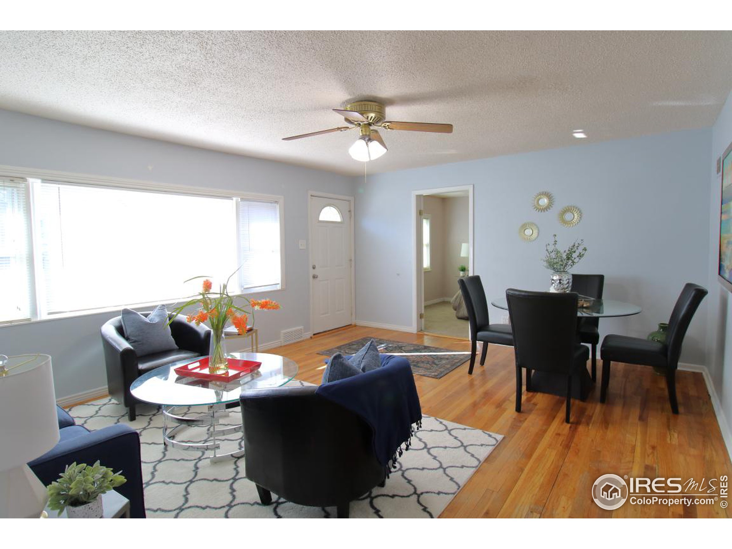 1148 Gay St Longmont