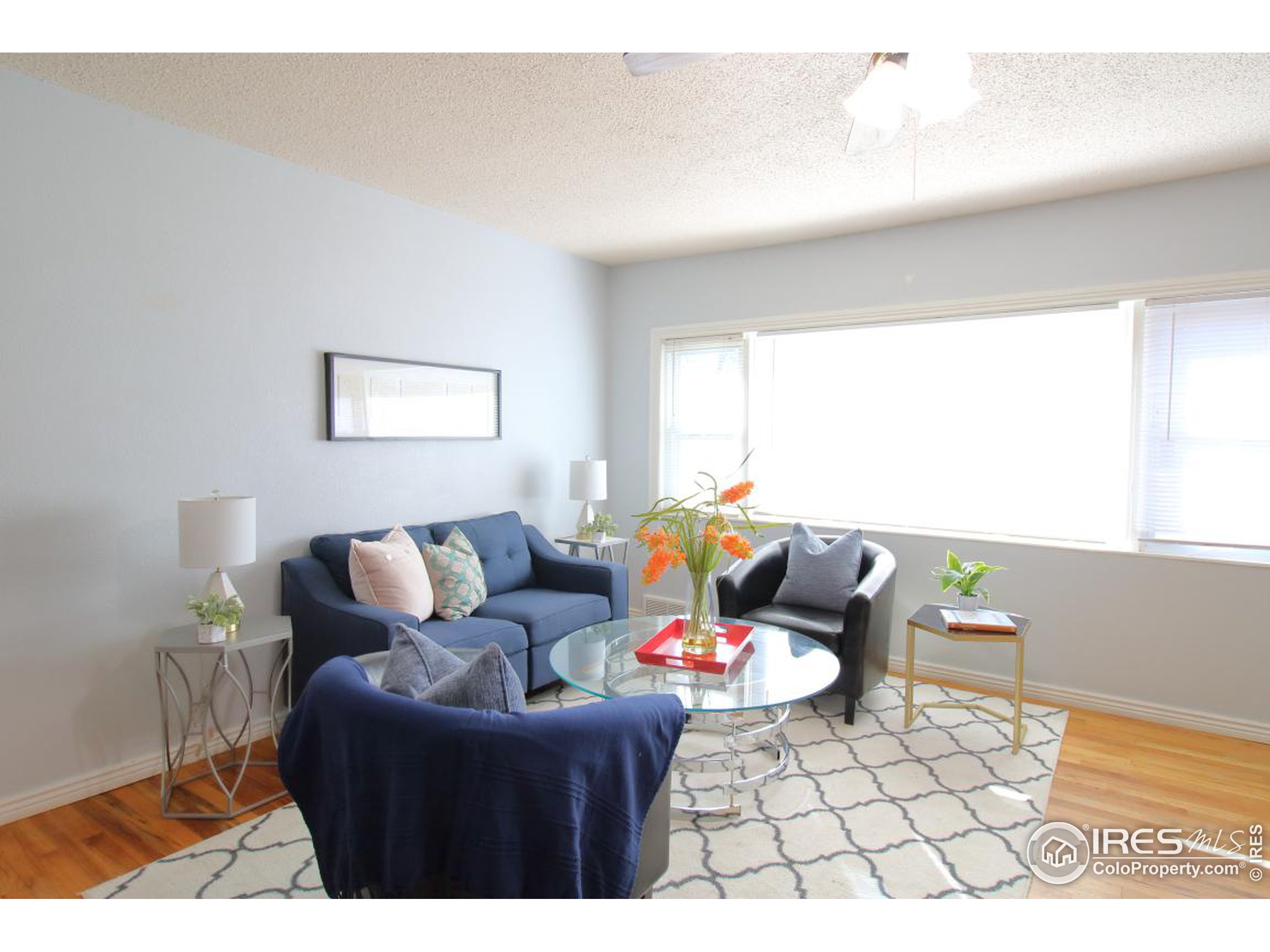 1148 Gay St Longmont