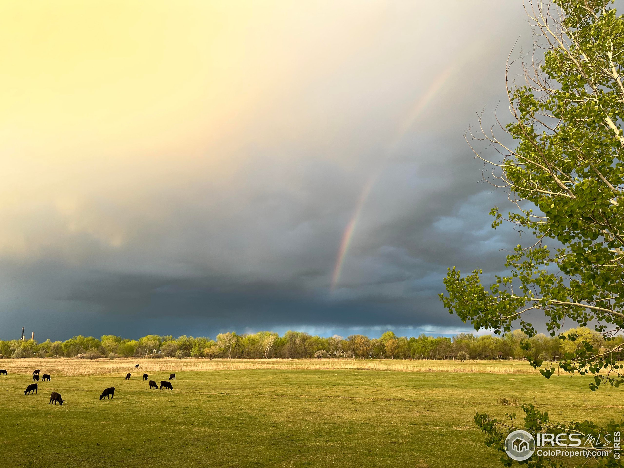 5656 Cascade Pl Boulder