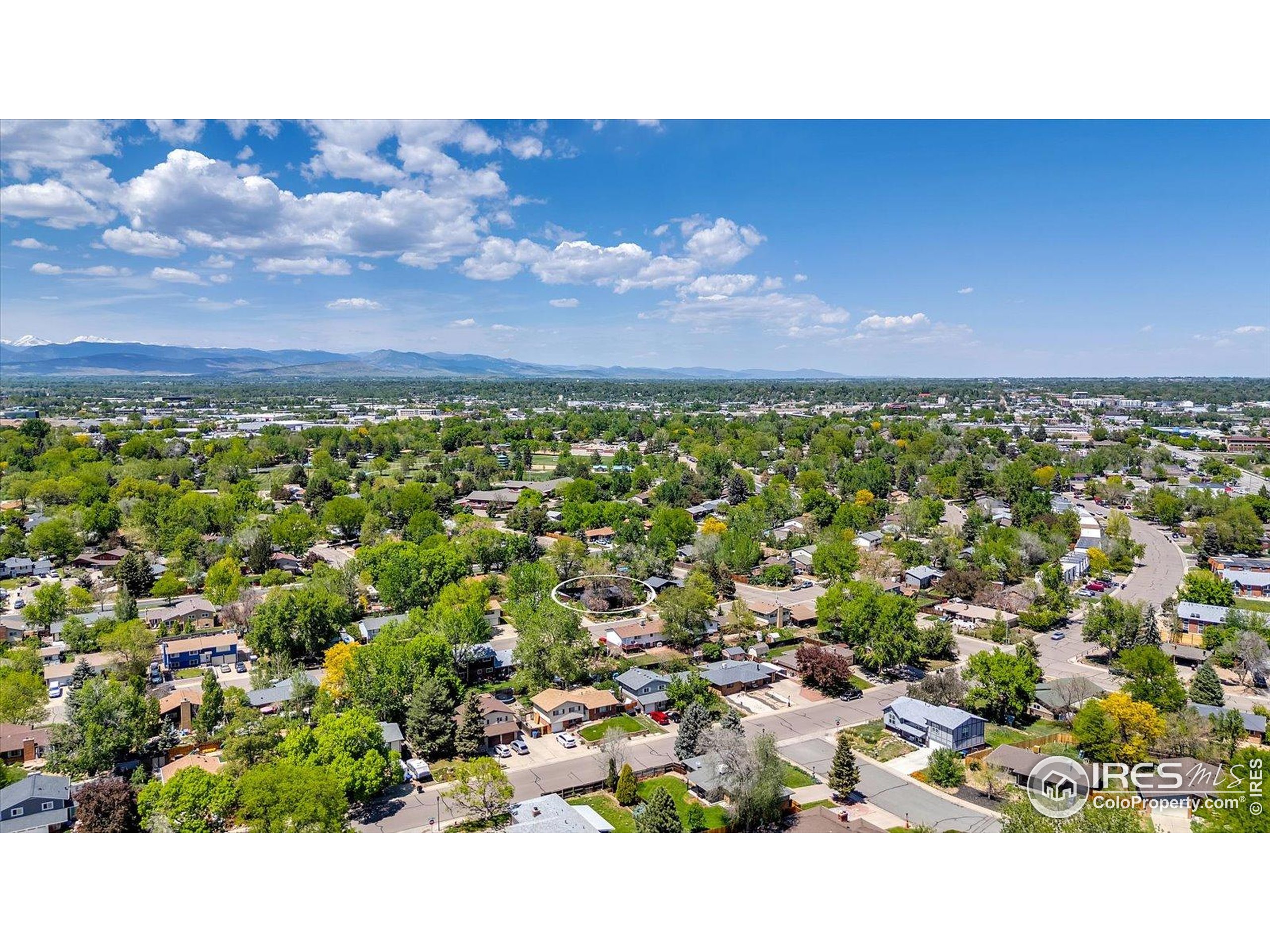 1407 S Terry St Longmont