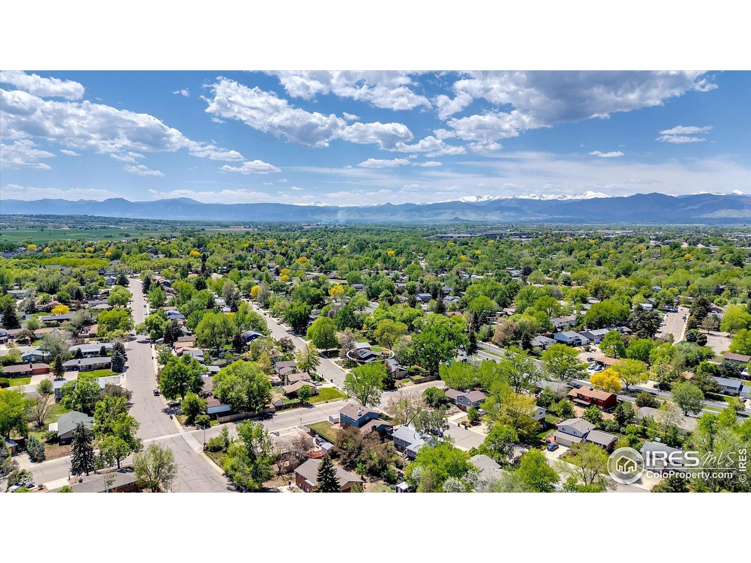 1407 S Terry St Longmont