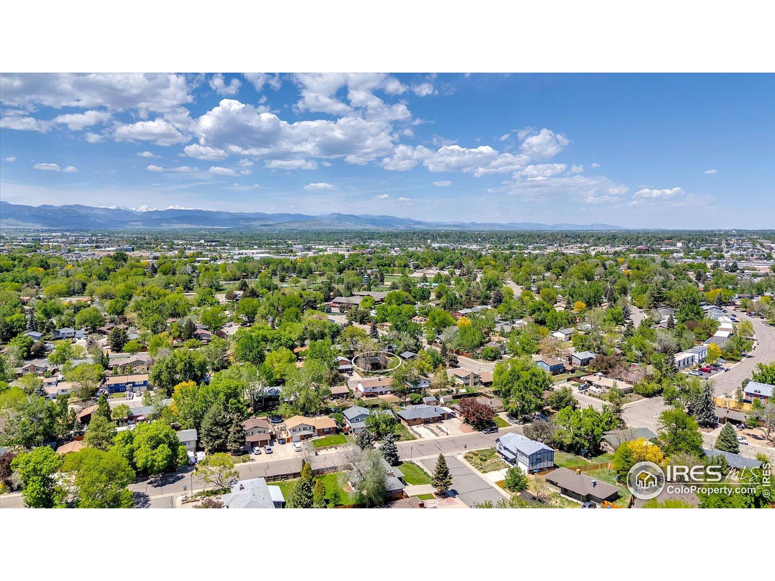 1407 S Terry St Longmont