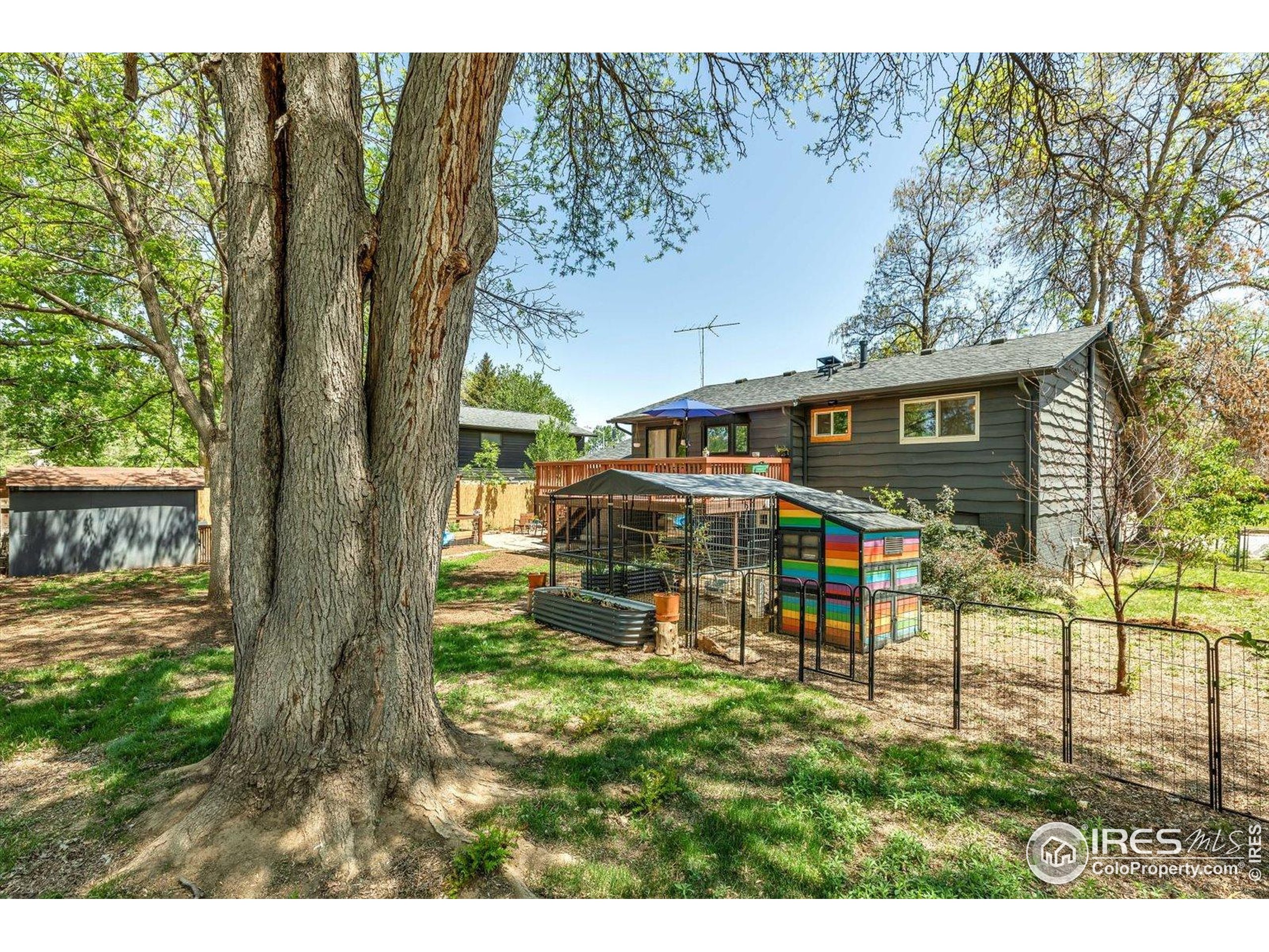 1407 S Terry St Longmont