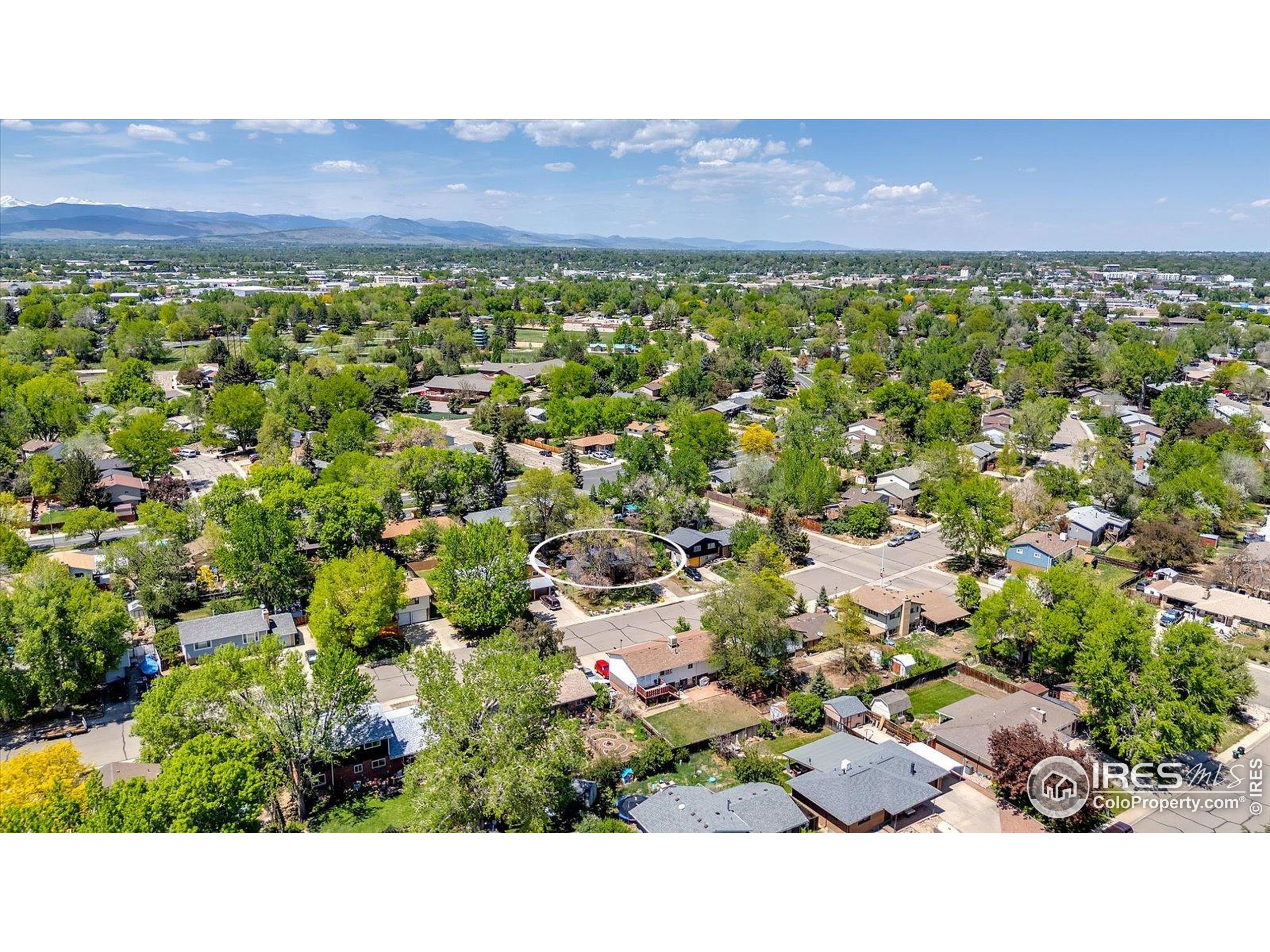 1407 S Terry St Longmont