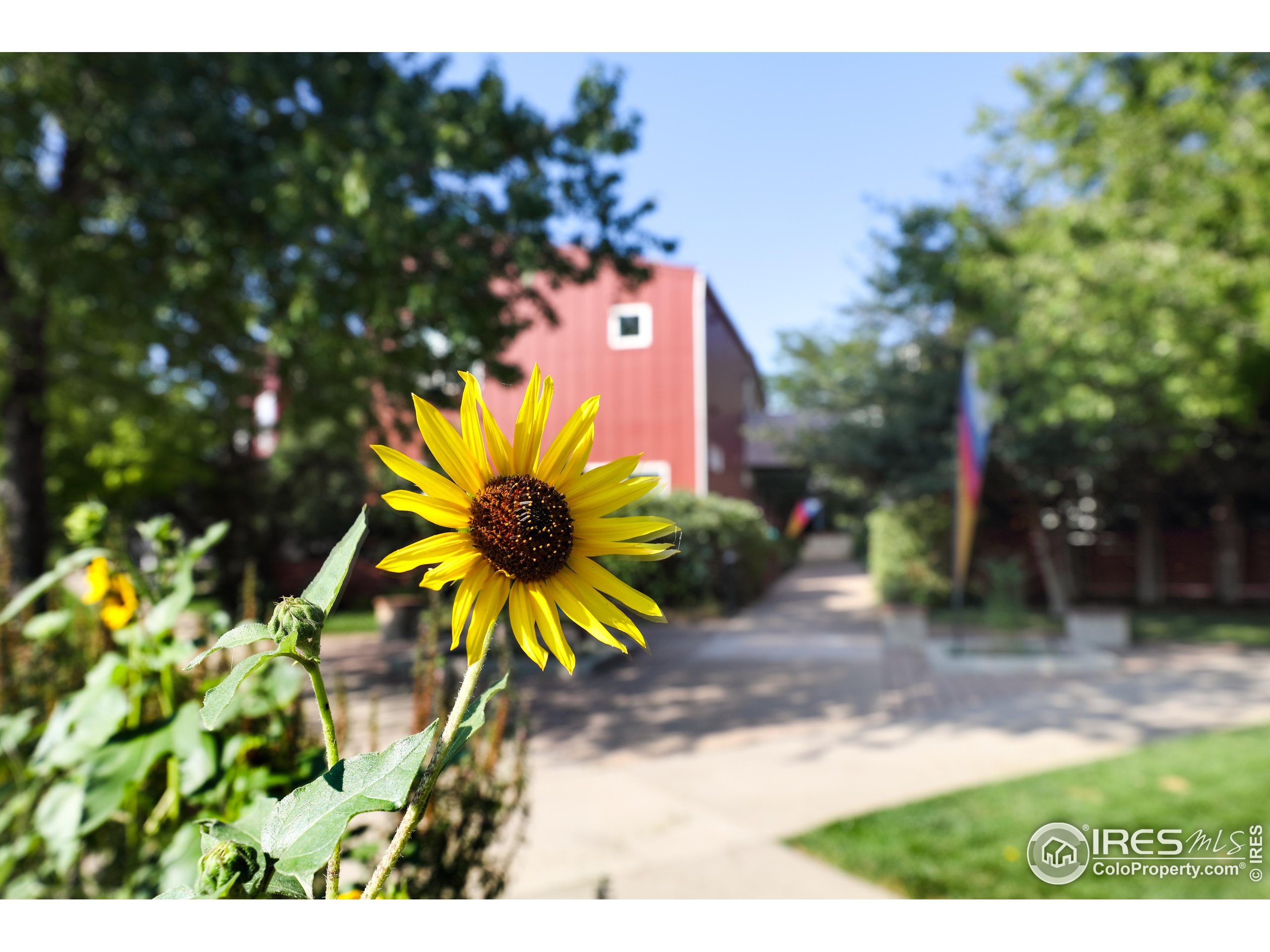 1517 Easy Rider Ln 101 & 102