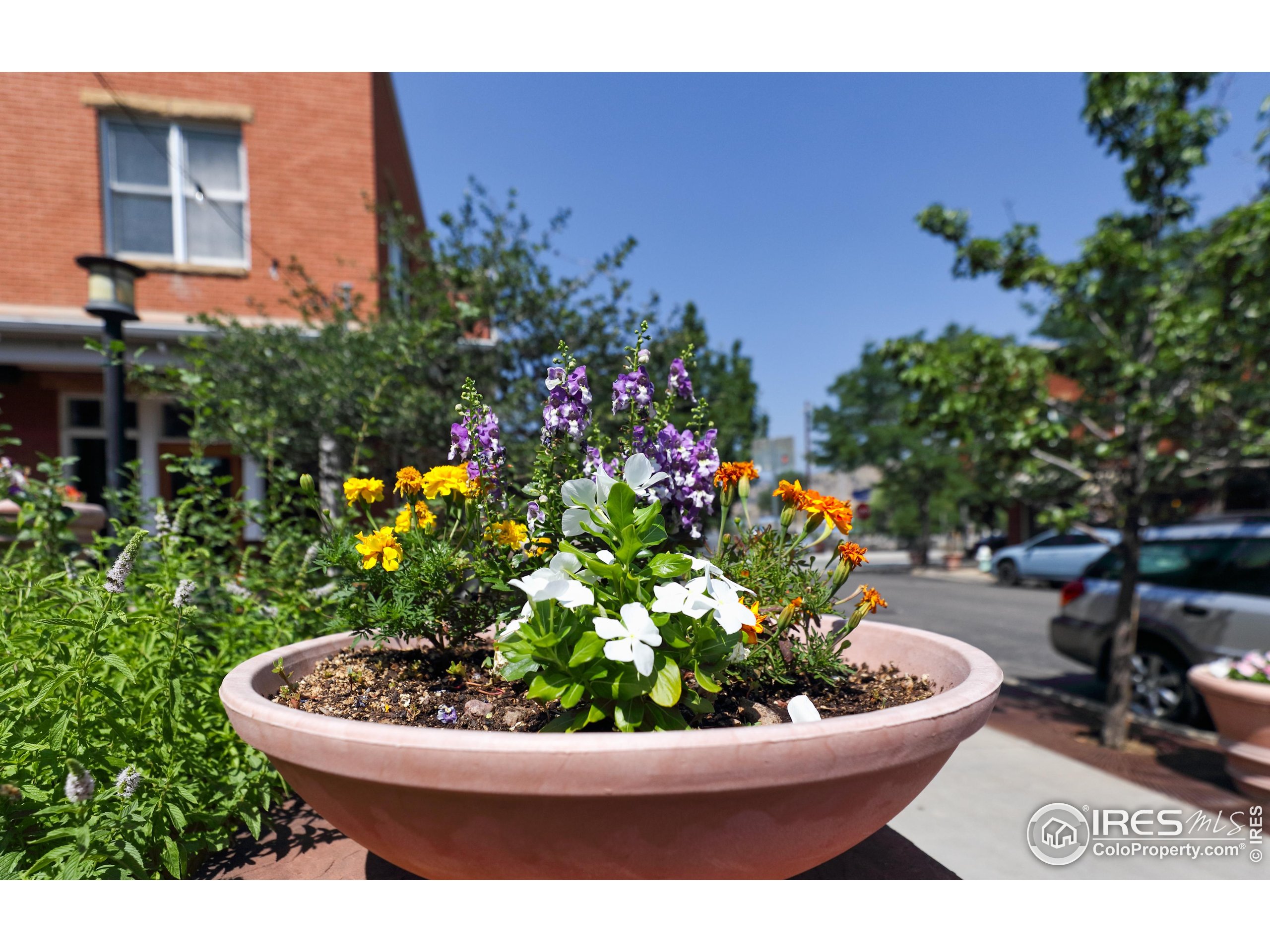 1517 Easy Rider Ln 101 & 102