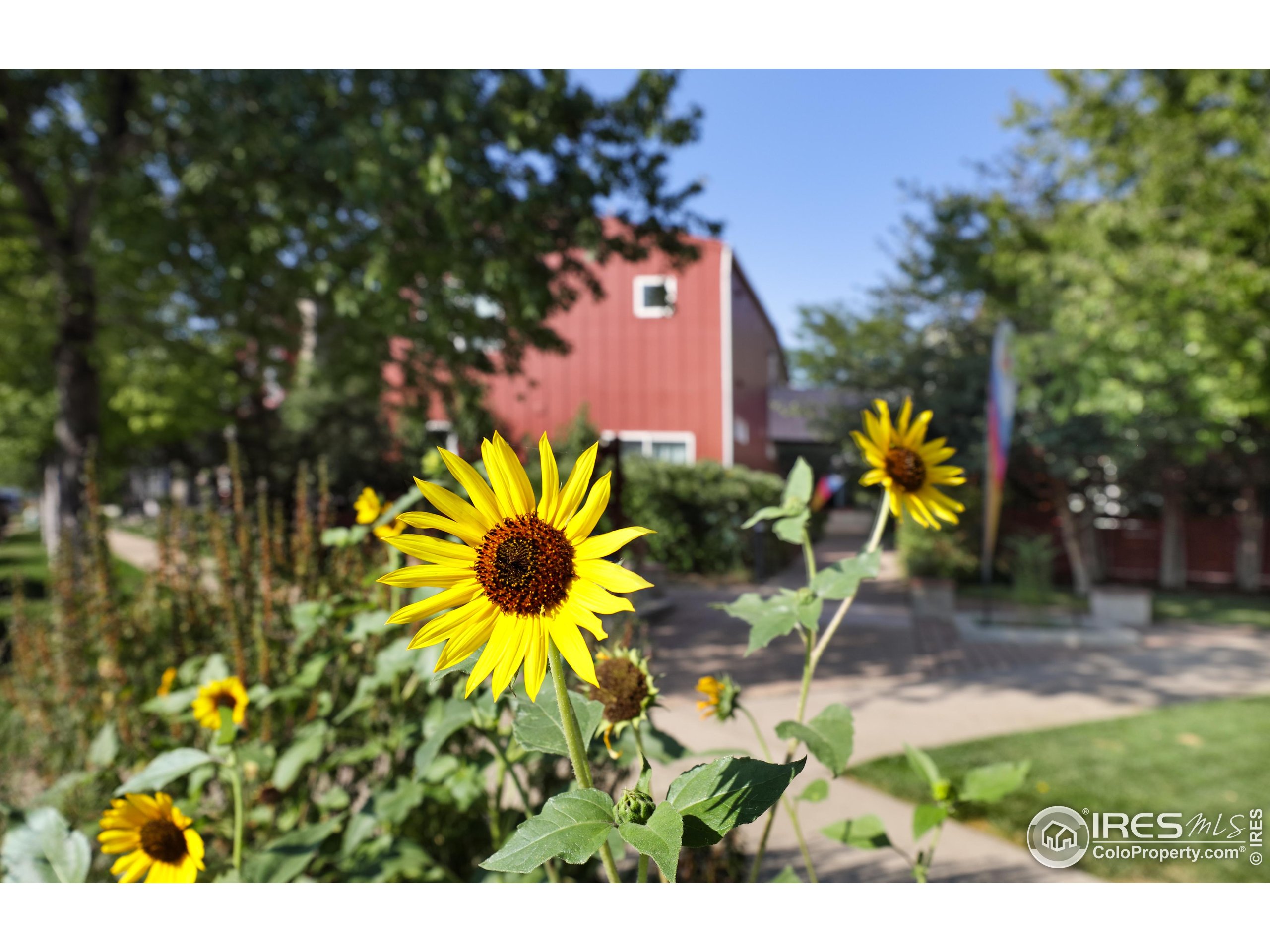 1517 Easy Rider Ln 101 & 102