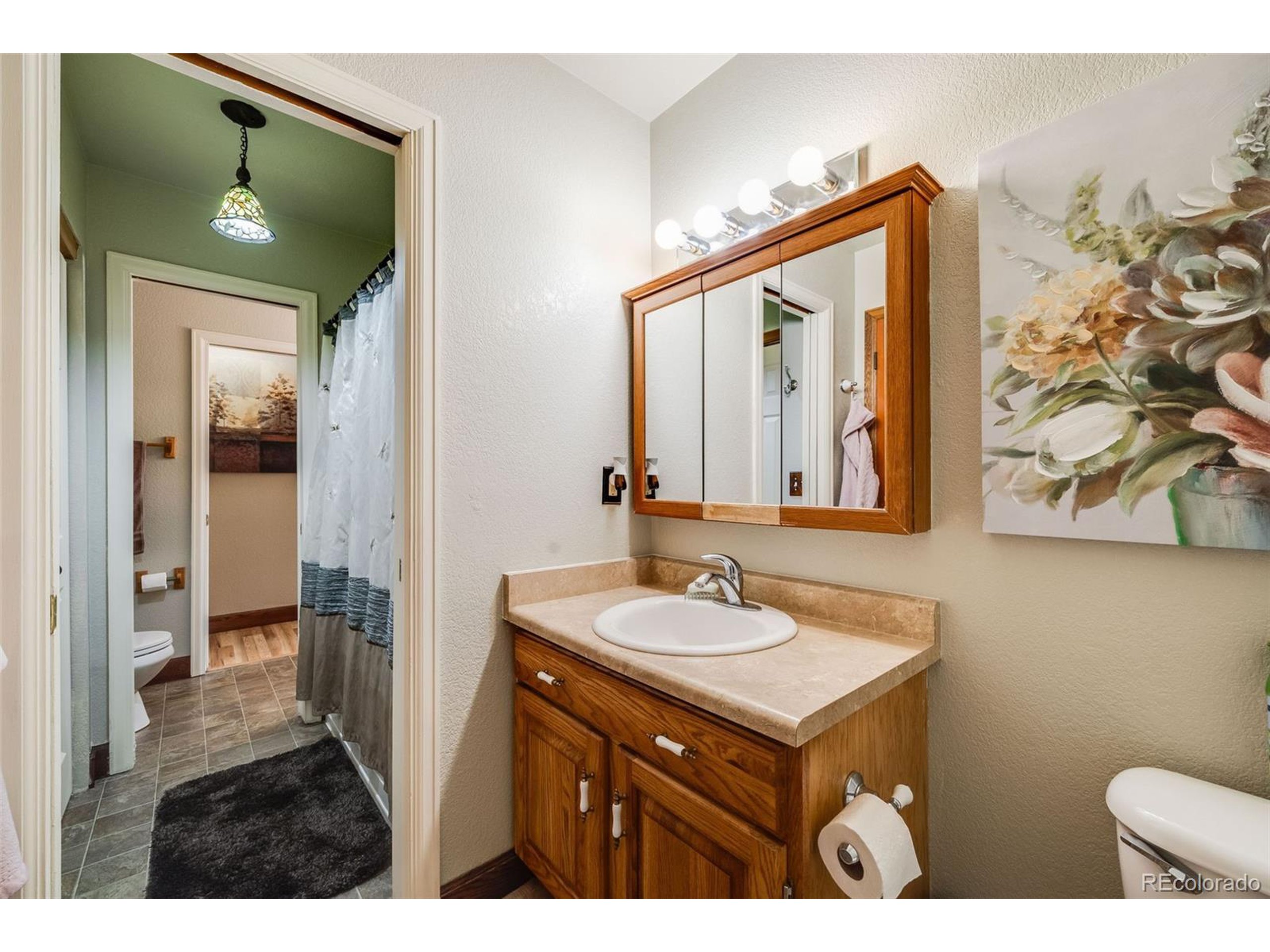 1328 Carriage Dr Longmont