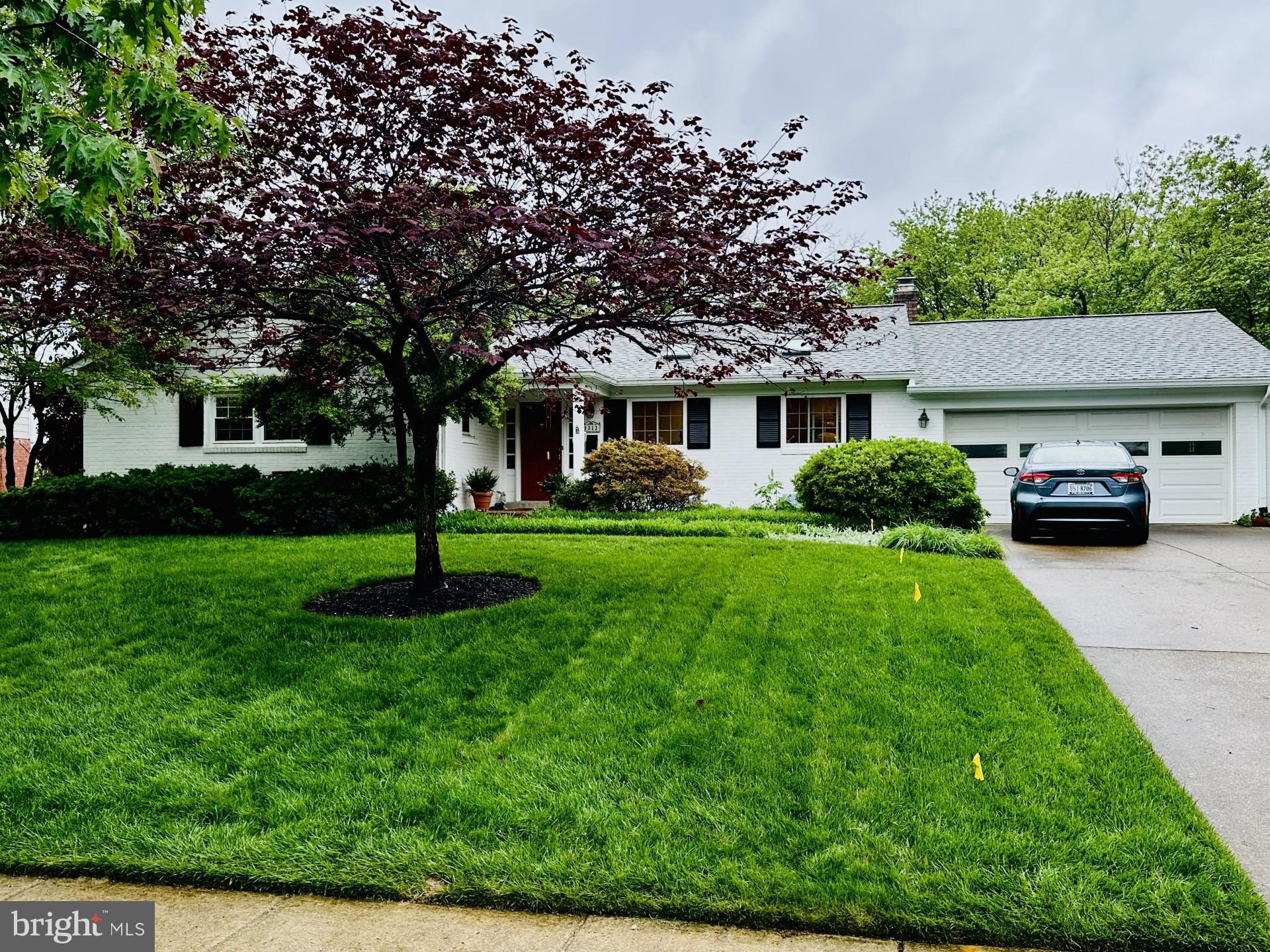 1312 KINGSTON AVENUE