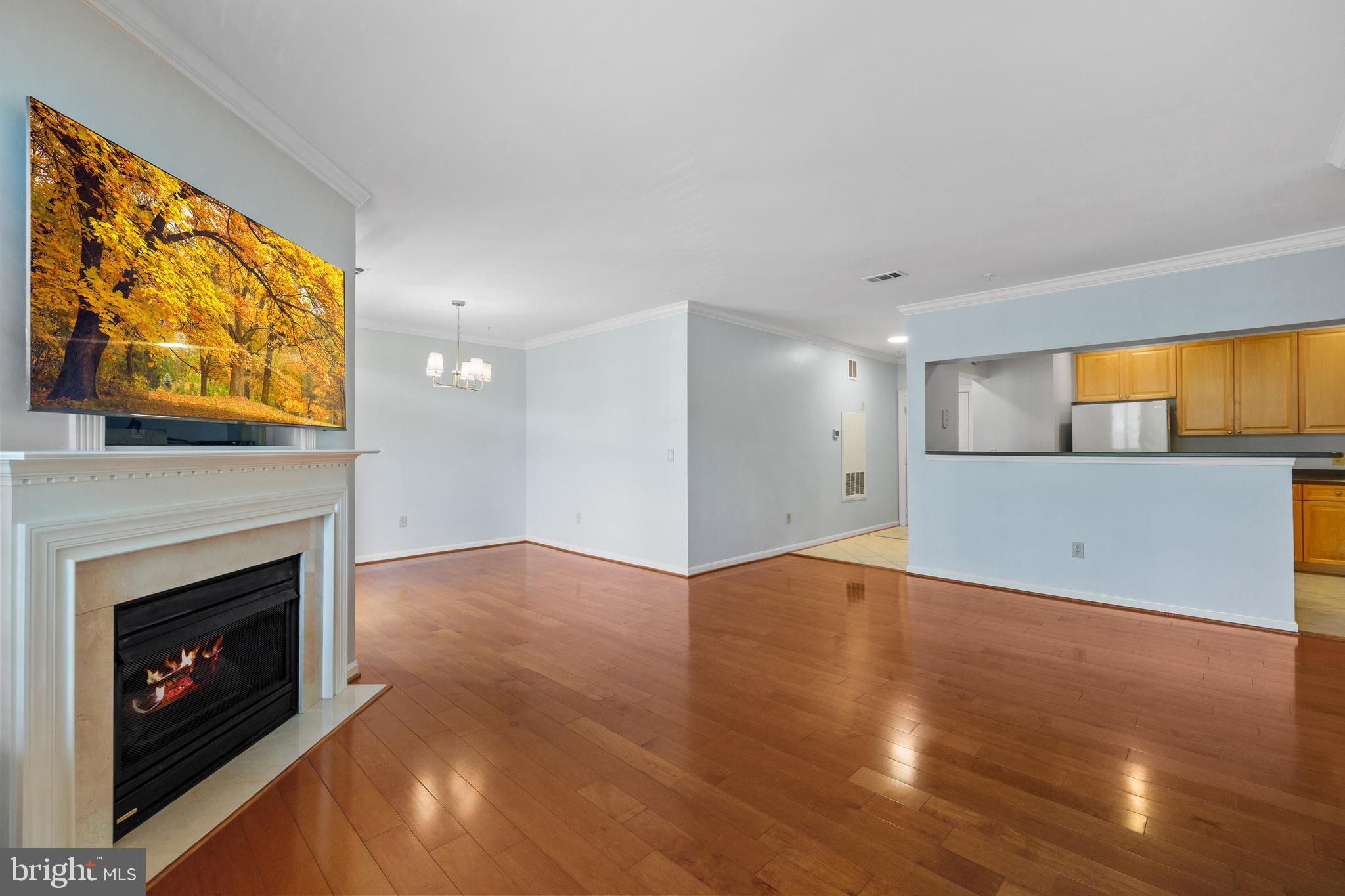 4950 BRENMAN PARK DRIVE 301