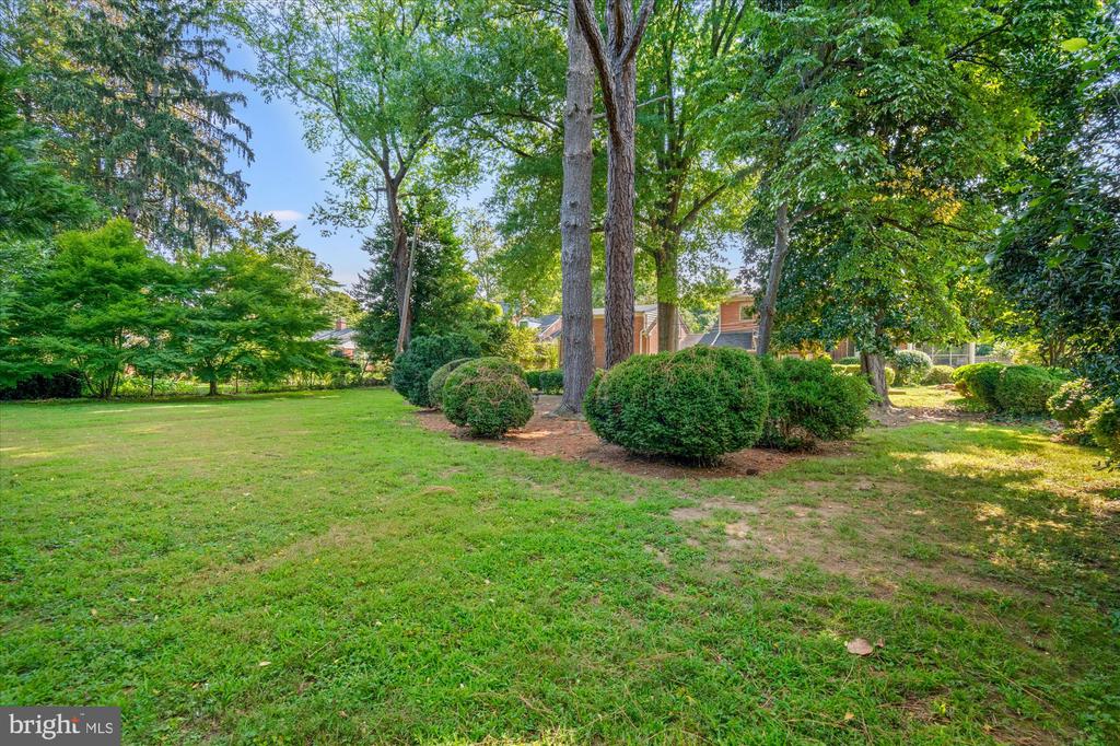 6422 BOULEVARD VIEW
