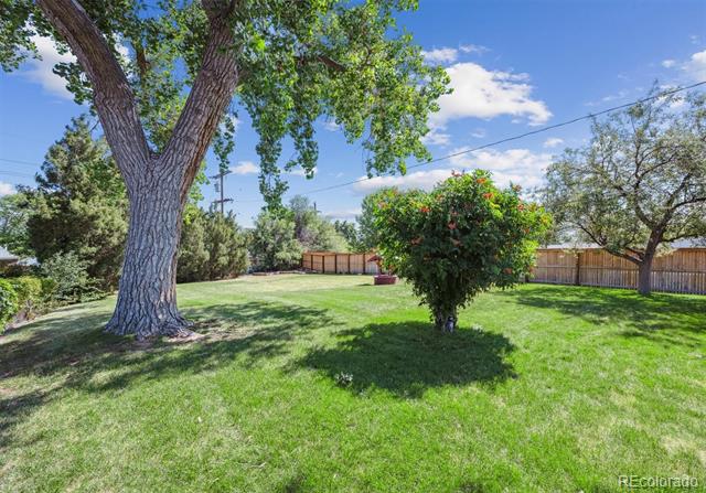 841 Bronco Road