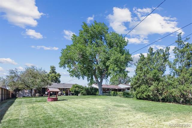 841 Bronco Road