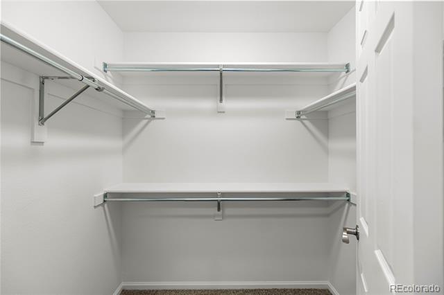 474 Black Feather Loop Unit: 411