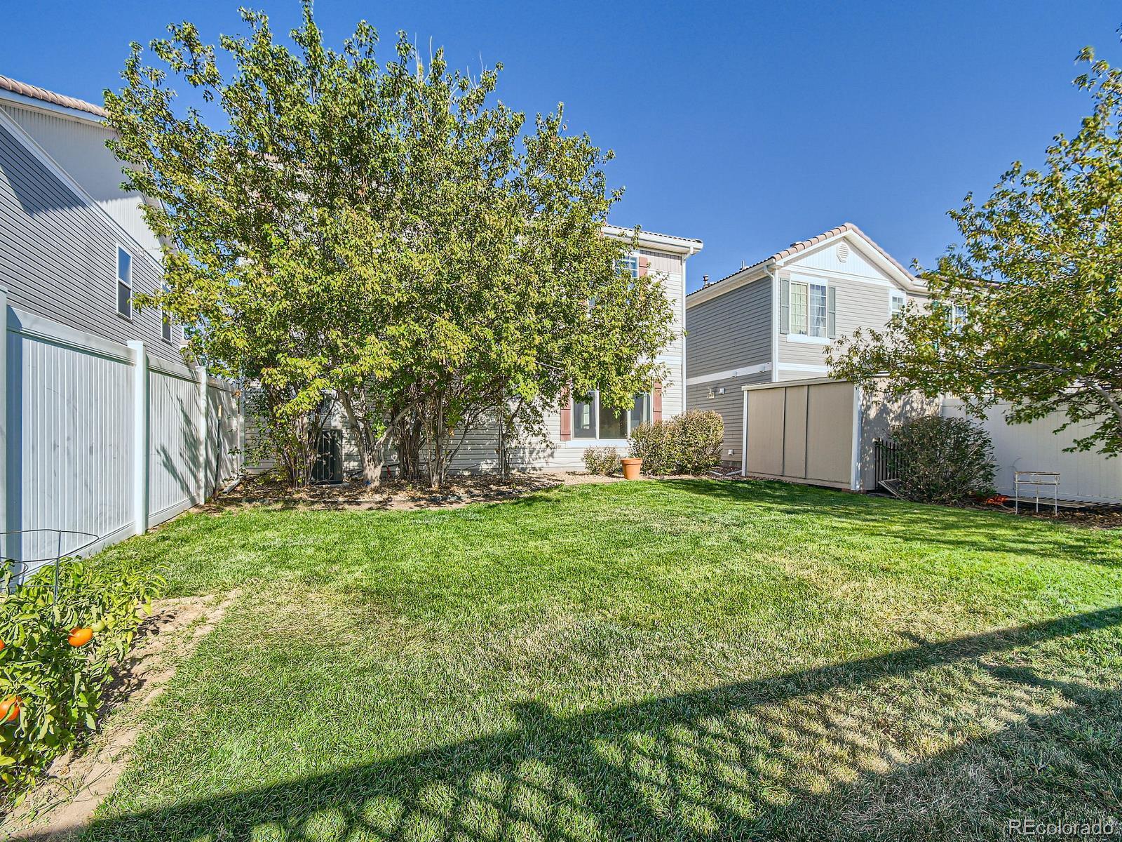 5575 Jebel Court