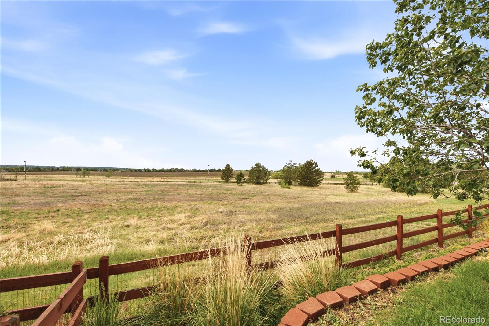4300 Red Deer Trail