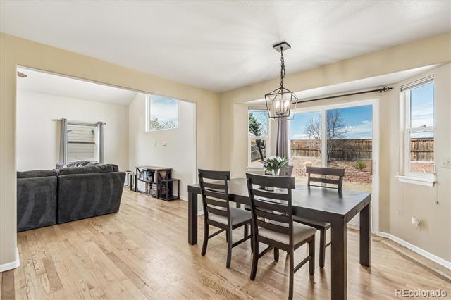 941 Sundown Drive