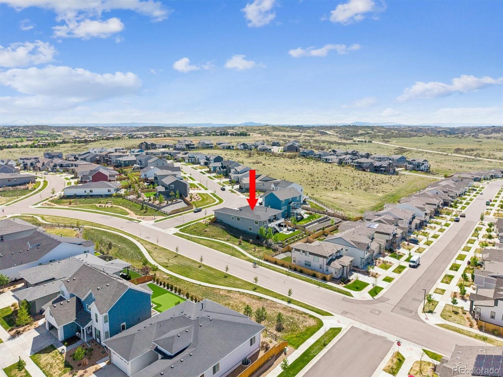 14307 Shasta Daisy Point