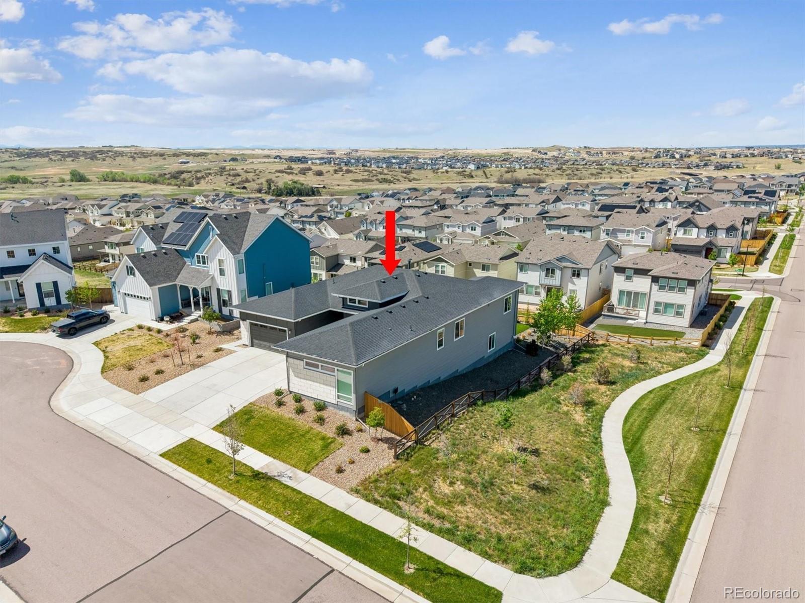 14307 Shasta Daisy Point