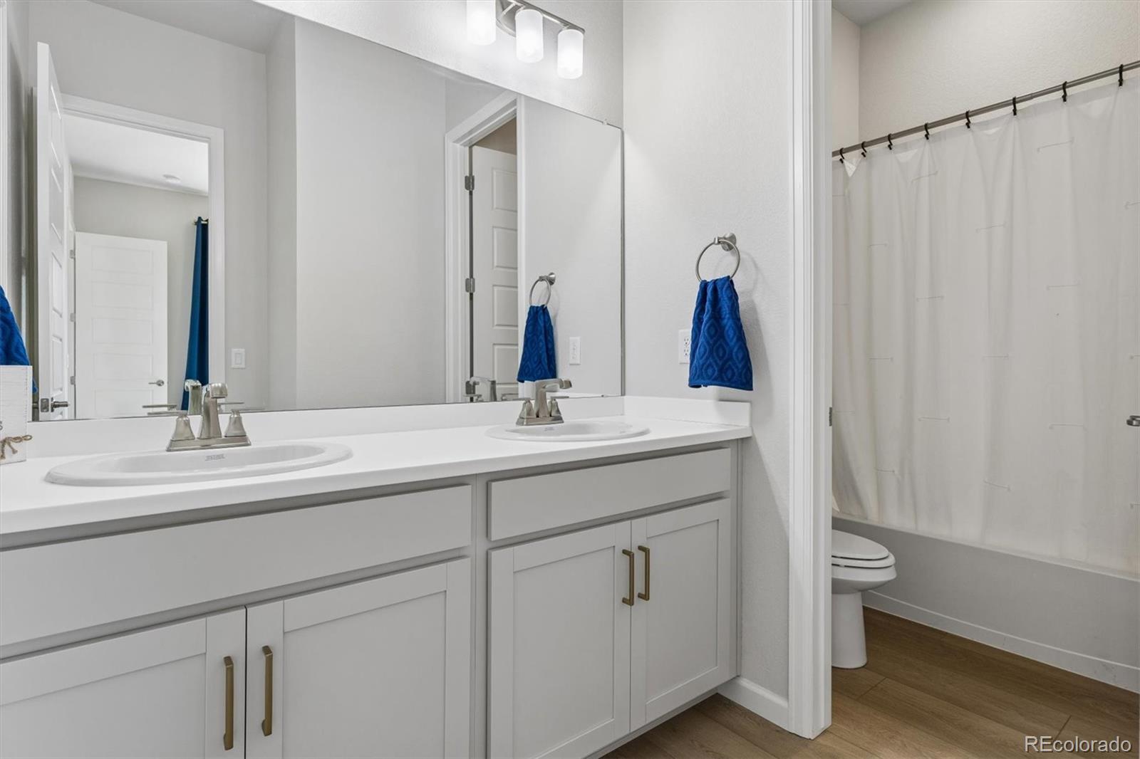14307 Shasta Daisy Point
