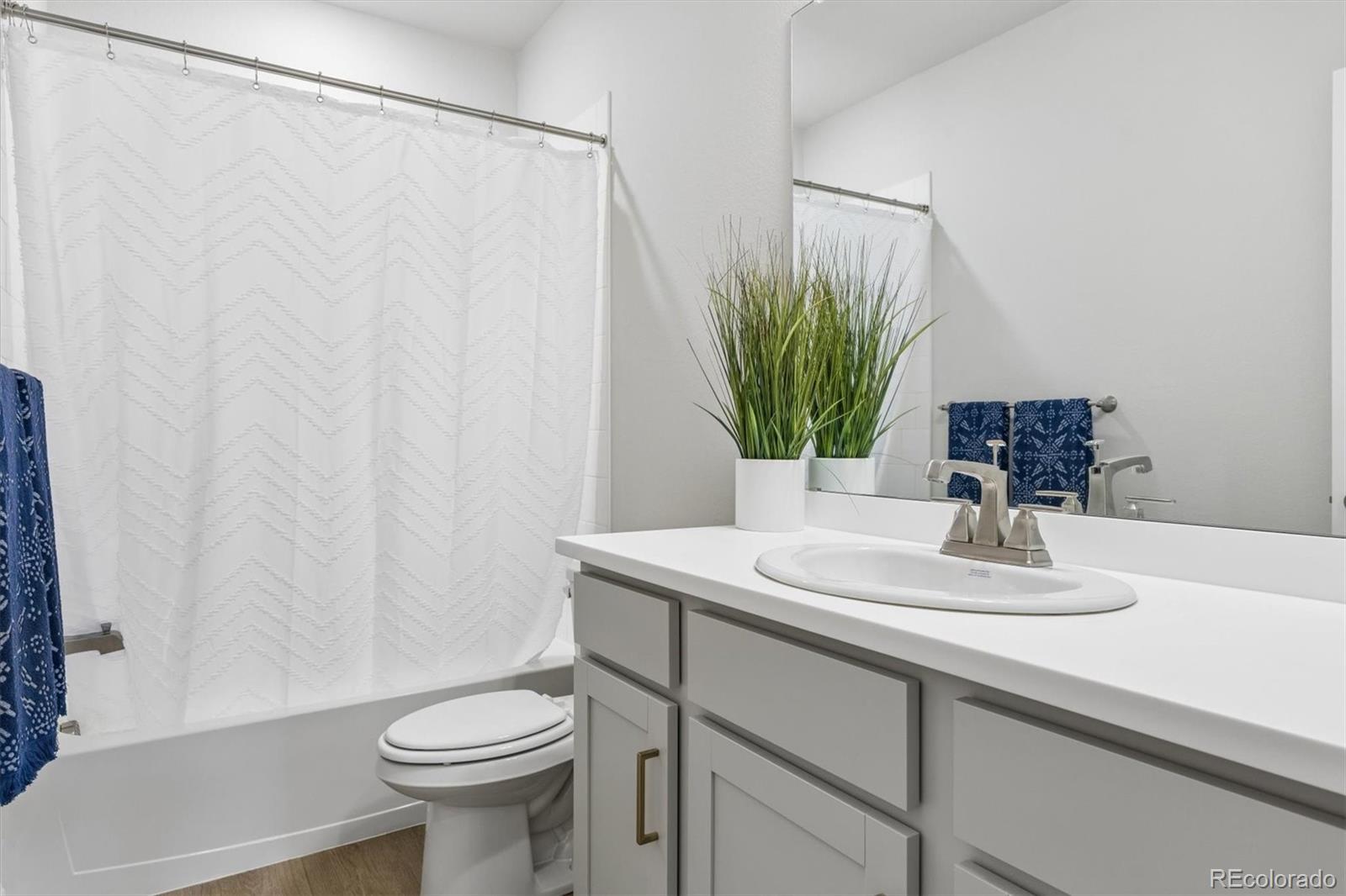 14307 Shasta Daisy Point