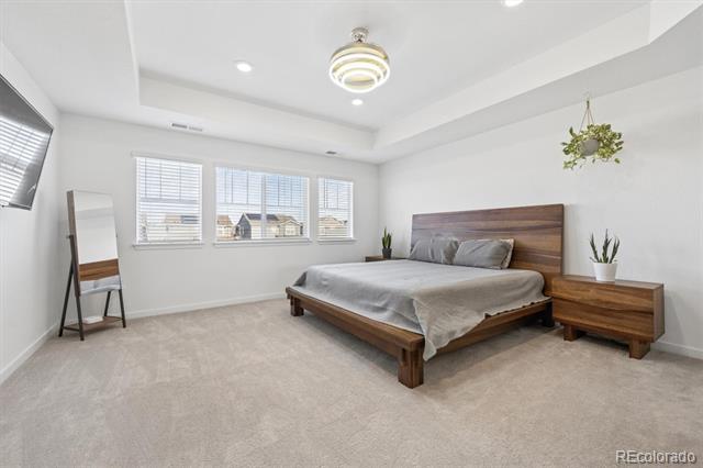 13153 E 100th Place