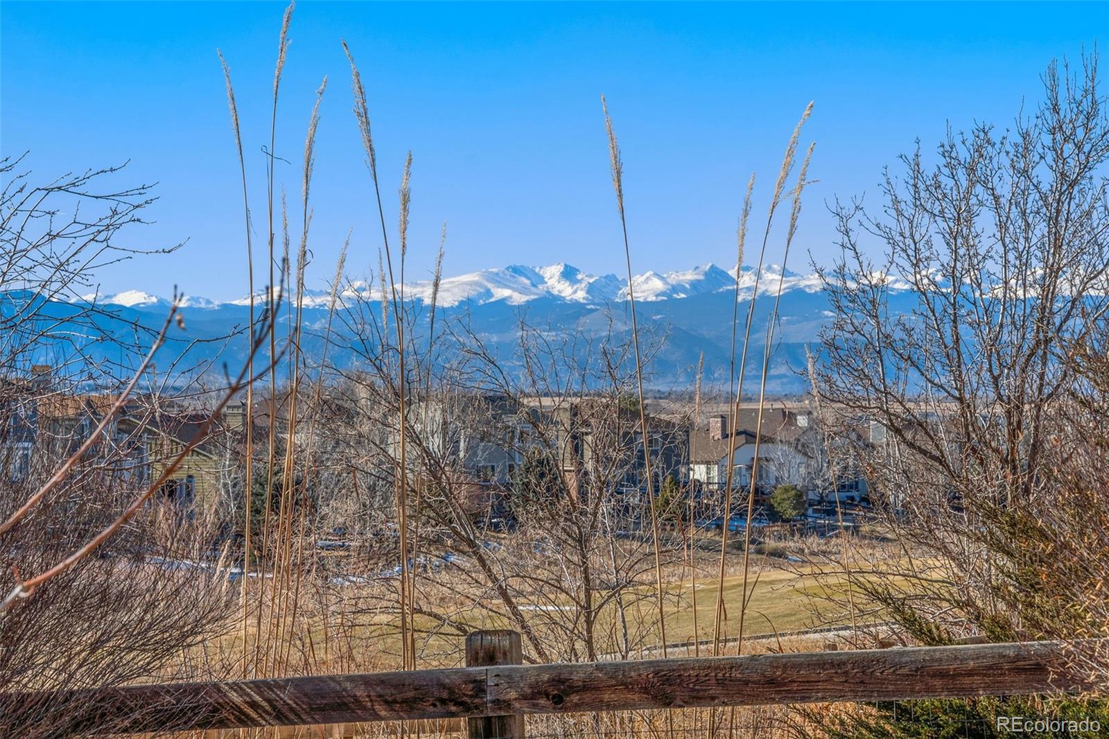 2202 Indian Paintbrush Way