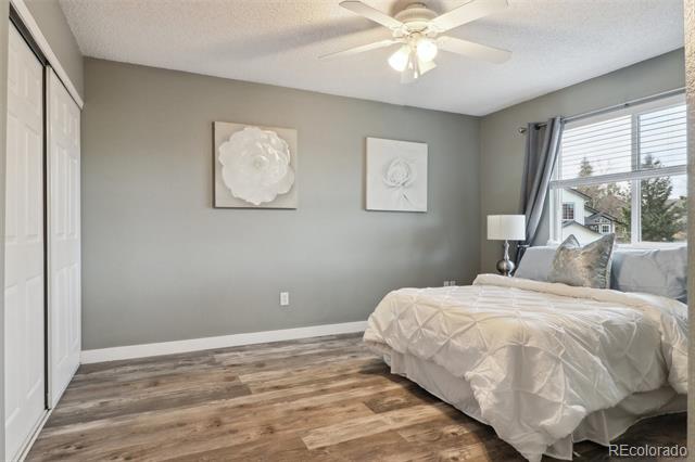6425 Nassau Court