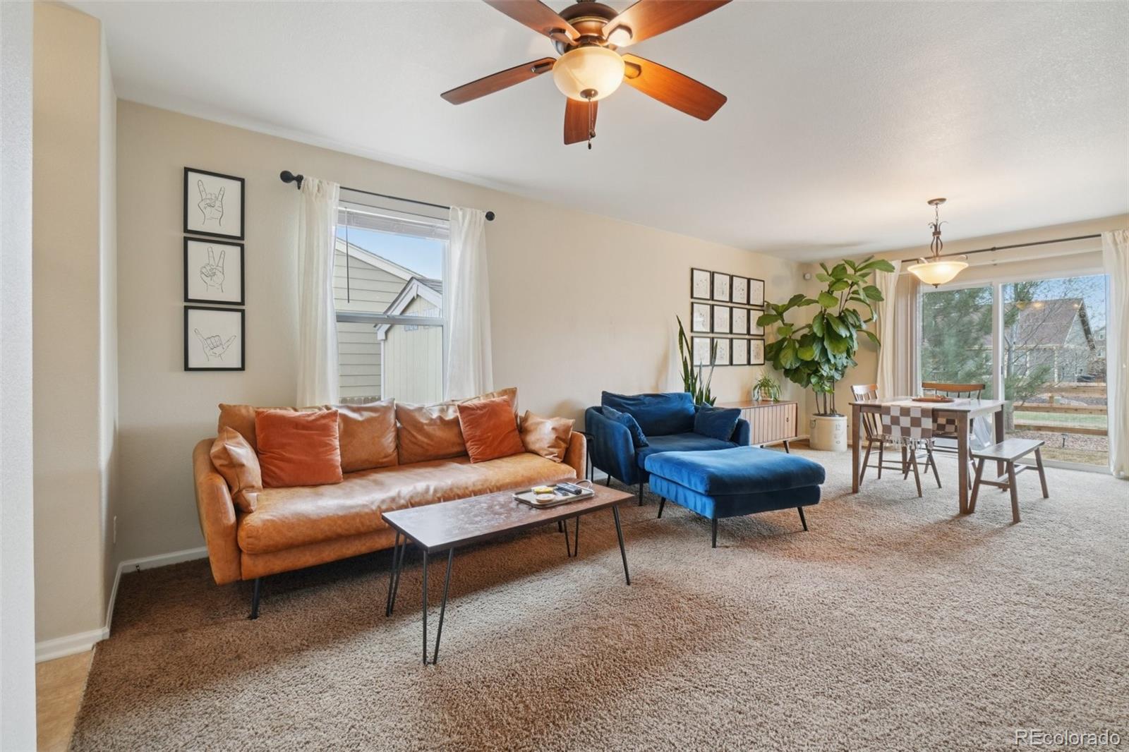 316 Shenandoah Way