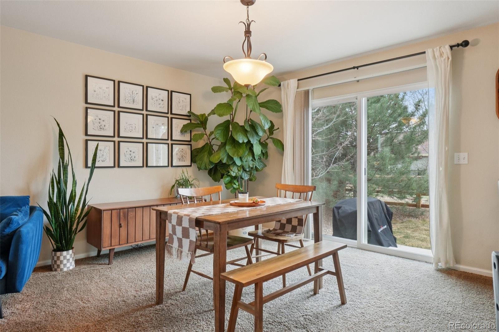 316 Shenandoah Way
