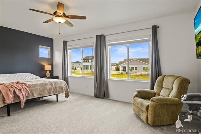 5693 Saddle Skirt Street