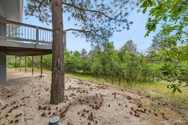 5781 N Lariat Drive